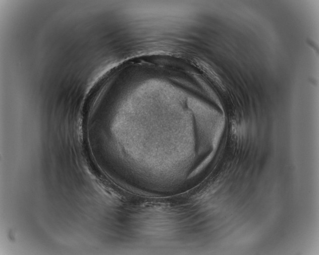 X0000097880676200804041614