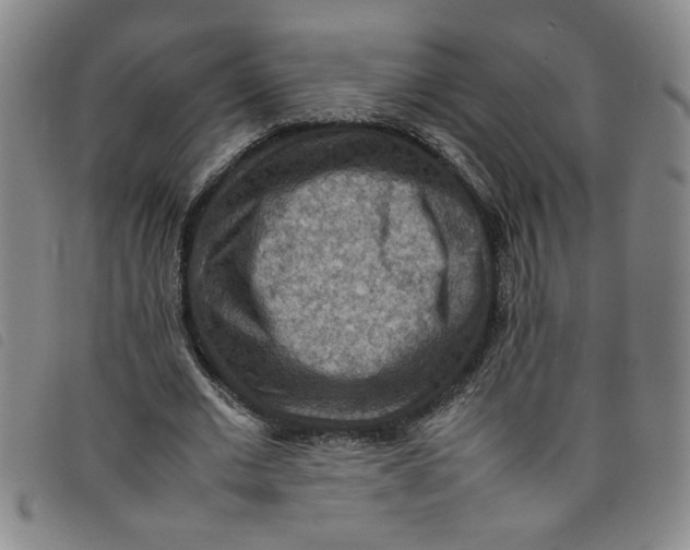 X0000097880677200804041614