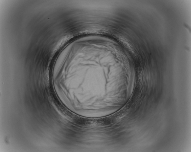 X0000097880678200804041614