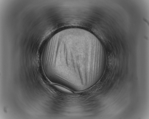 X0000097880680200804041614