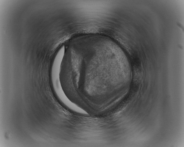 X0000097880681200804041614