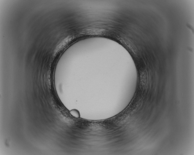 X0000097880682200804041614