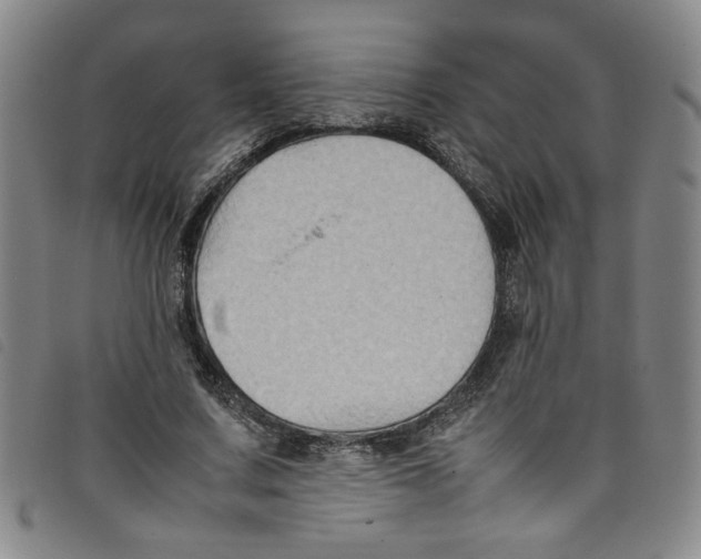 X0000097880683200804041614