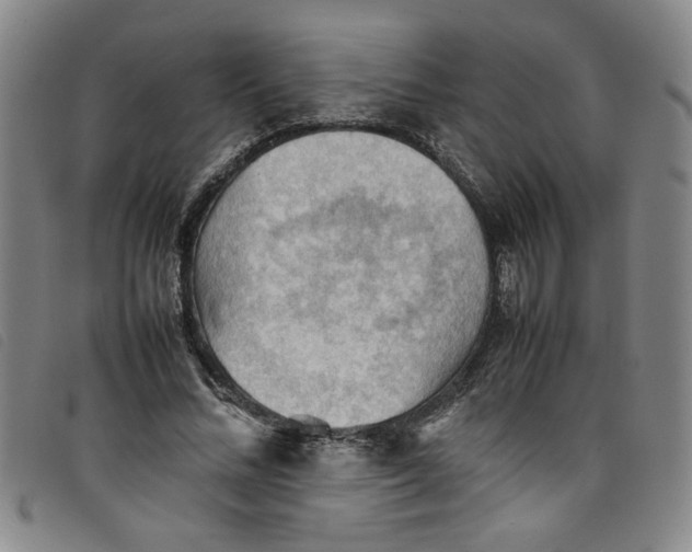 X0000097880684200804041614