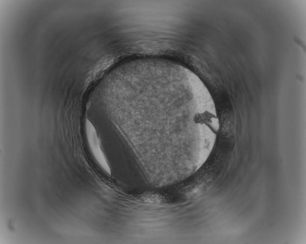 X0000097880685200804041614