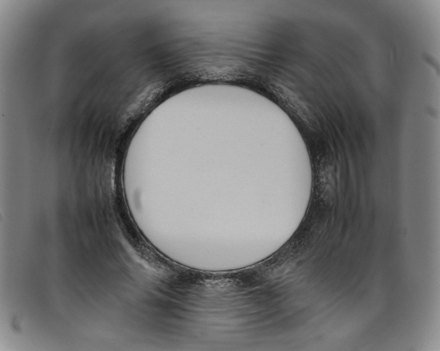 X0000097880686200804041614