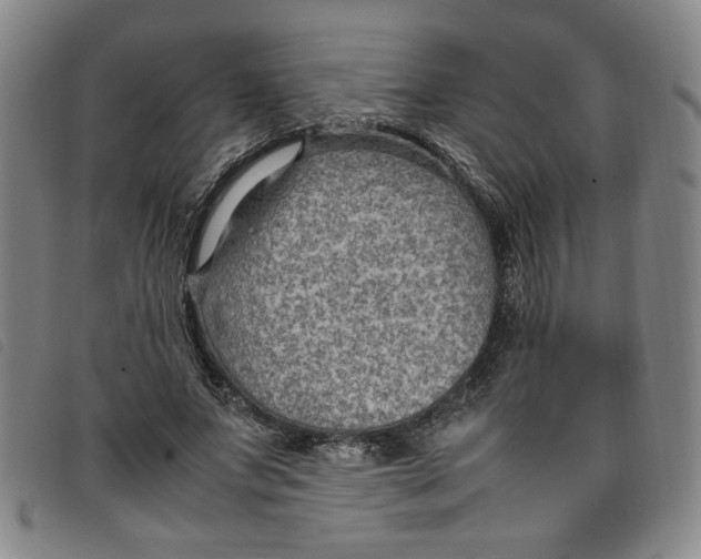 X0000097880687200804041614