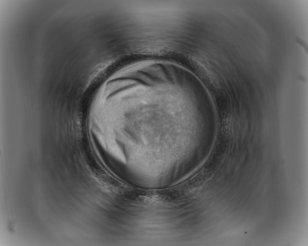 X0000097880688200804041614