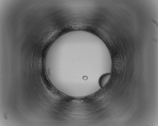 X0000097880690200804041614