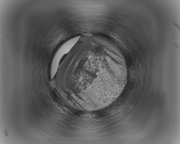 X0000097880691200804041614