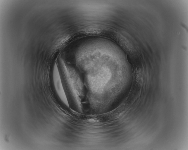 X0000097880692200804041614