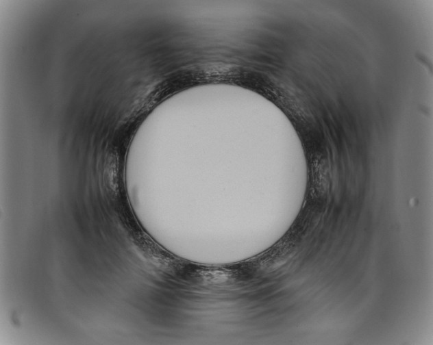 X0000097880698200804041614