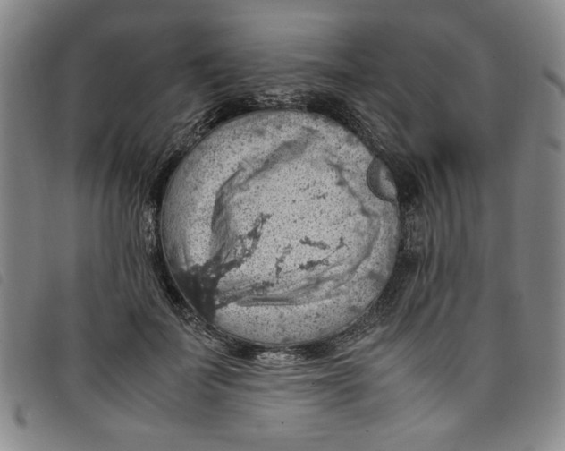 X0000097880699200804041614