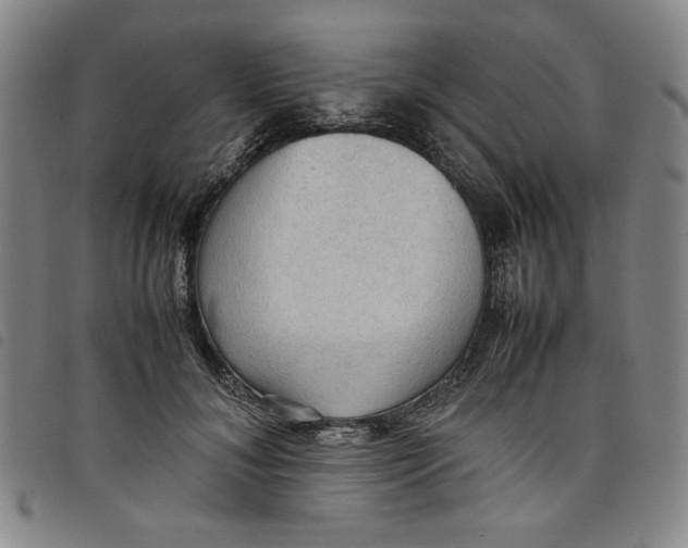 X0000097880700200804041614