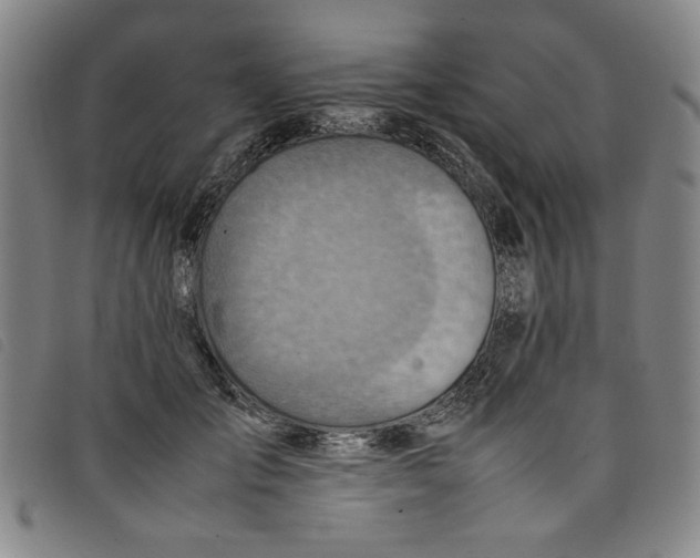 X0000097880701200804041614