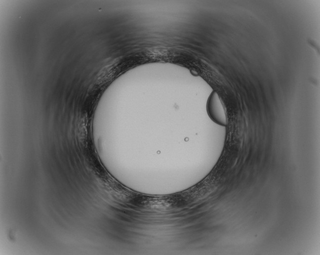 X0000097880702200804041614