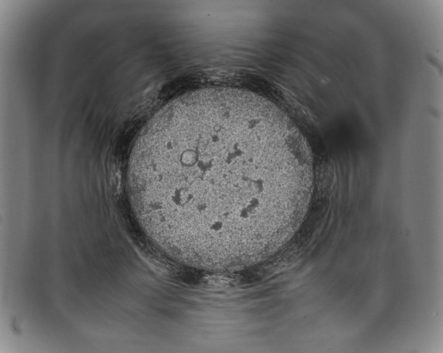 X0000097880703200804041614