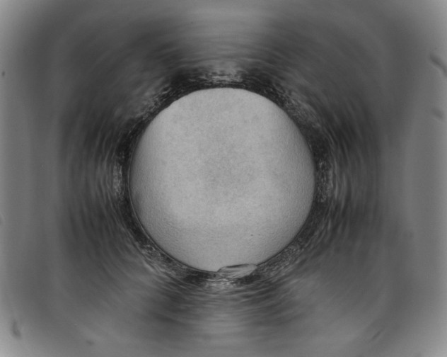 X0000097880704200804041614