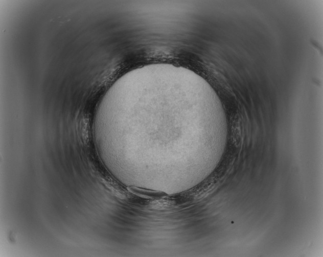 X0000097880708200804041614