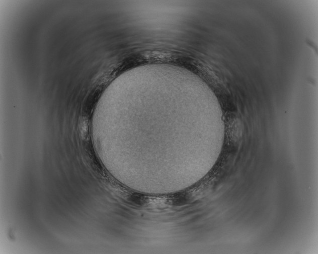 X0000097880709200804041614