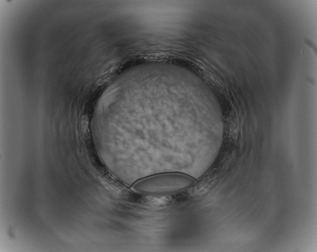 X0000097880711200804041614