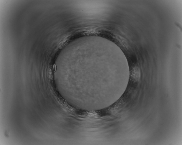 X0000097880715200804041614