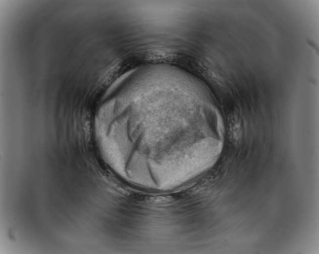 X0000097880716200804041614