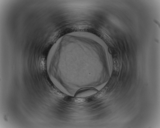 X0000097880718200804041614