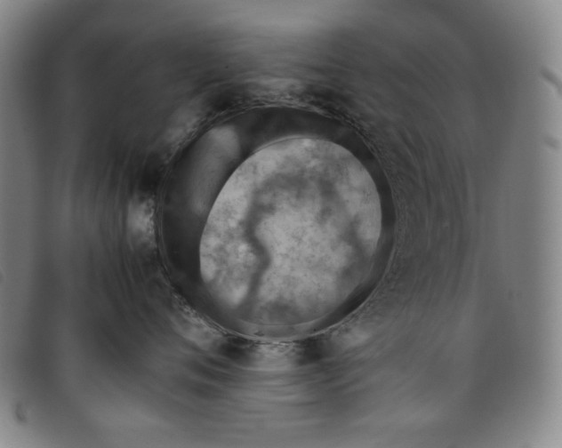 X0000097880720200804041614