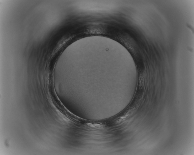 X0000097880722200804041613