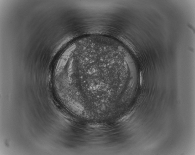 X0000097880723200804041613