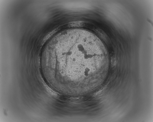 X0000097880725200804041613