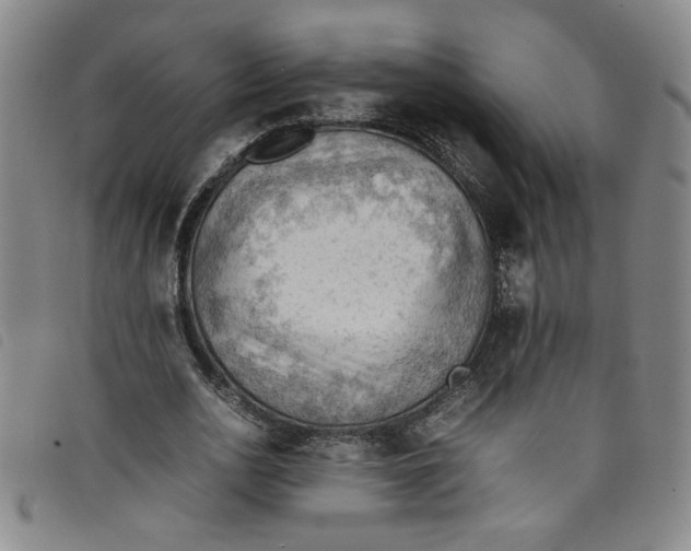 X0000097880726200804041613