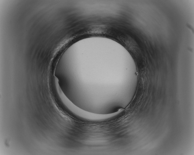 X0000097880728200804041613