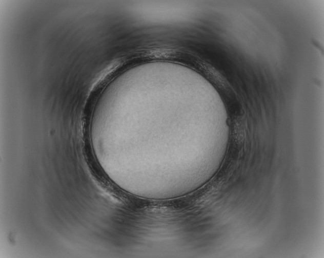 X0000097880730200804041613