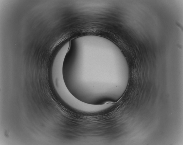 X0000097880735200804041613