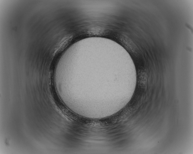 X0000097880738200804041613