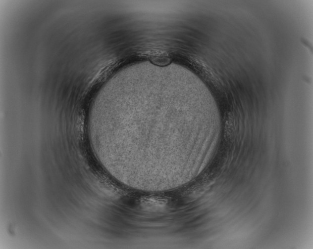 X0000097880739200804041613