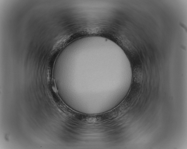 X0000097880740200804041613