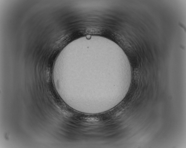 X0000097880741200804041613