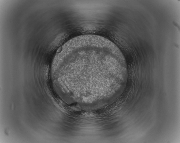 X0000097880742200804041613