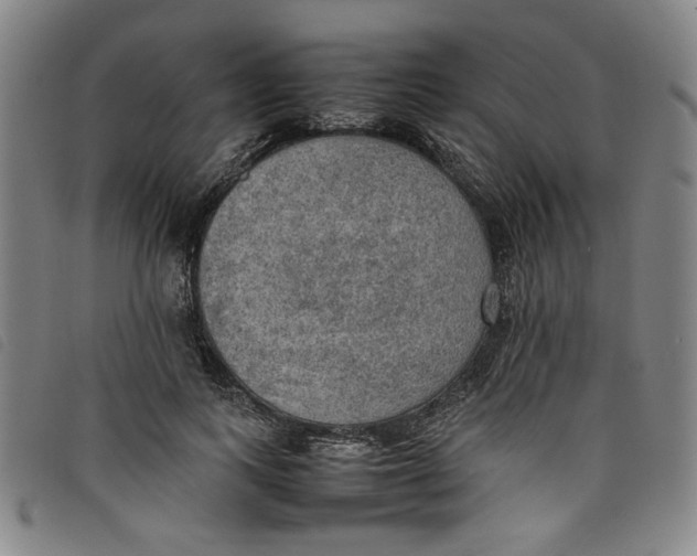 X0000097880743200804041613