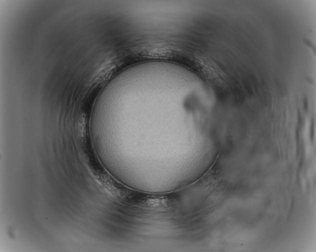 X0000097880744200804041613