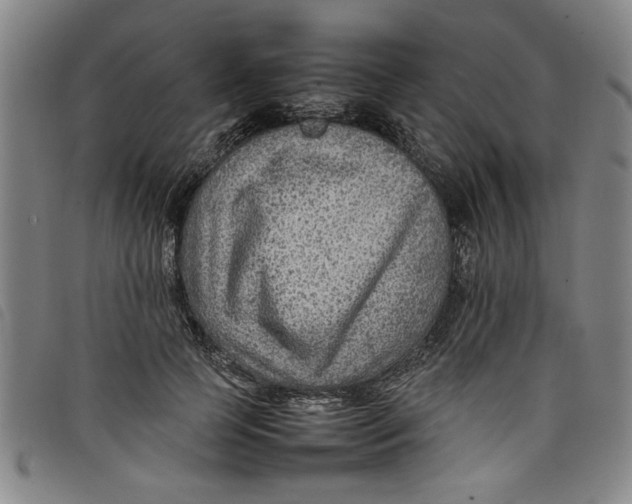 X0000097880745200804041613