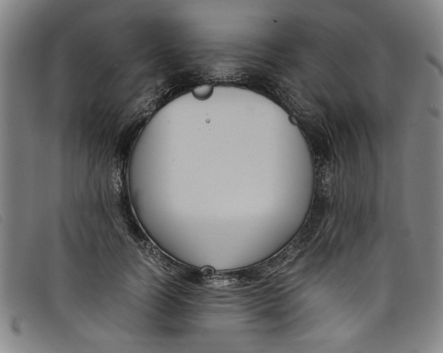 X0000097880746200804041613