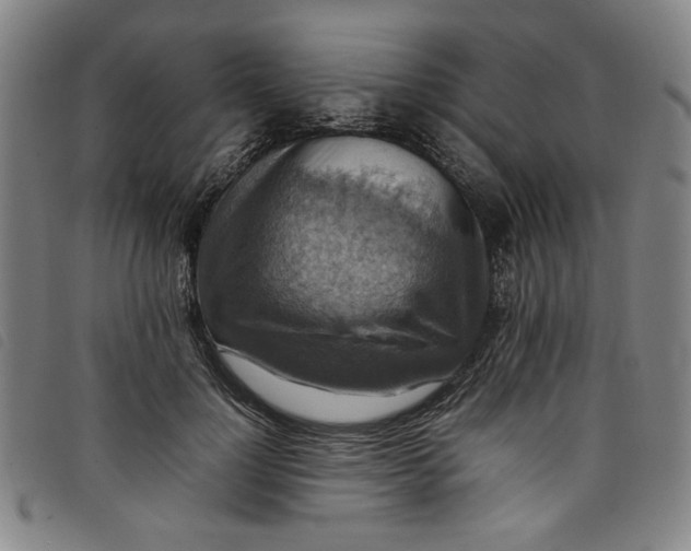 X0000097880748200804041613