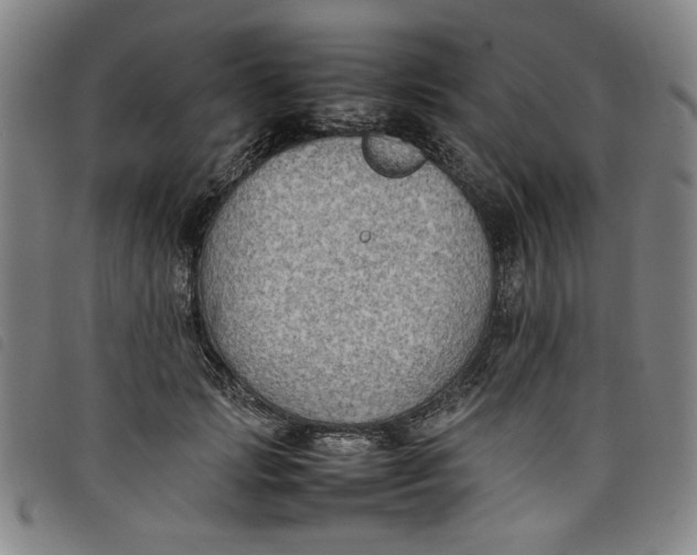 X0000097880749200804041613