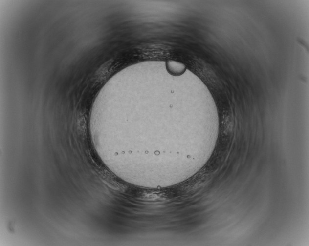 X0000097880753200804041613