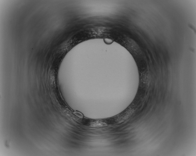 X0000097880754200804041613