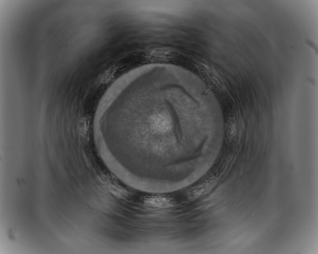 X0000097880759200804041613